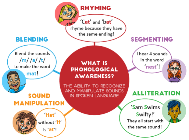 Phonological awareness skills: rhyming, segmenting, blending, alliteration, and sound manipulation