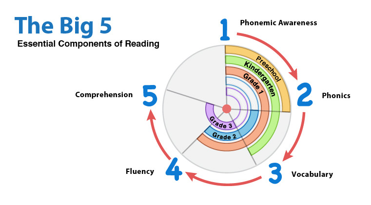 The Big 5 components of learning to read